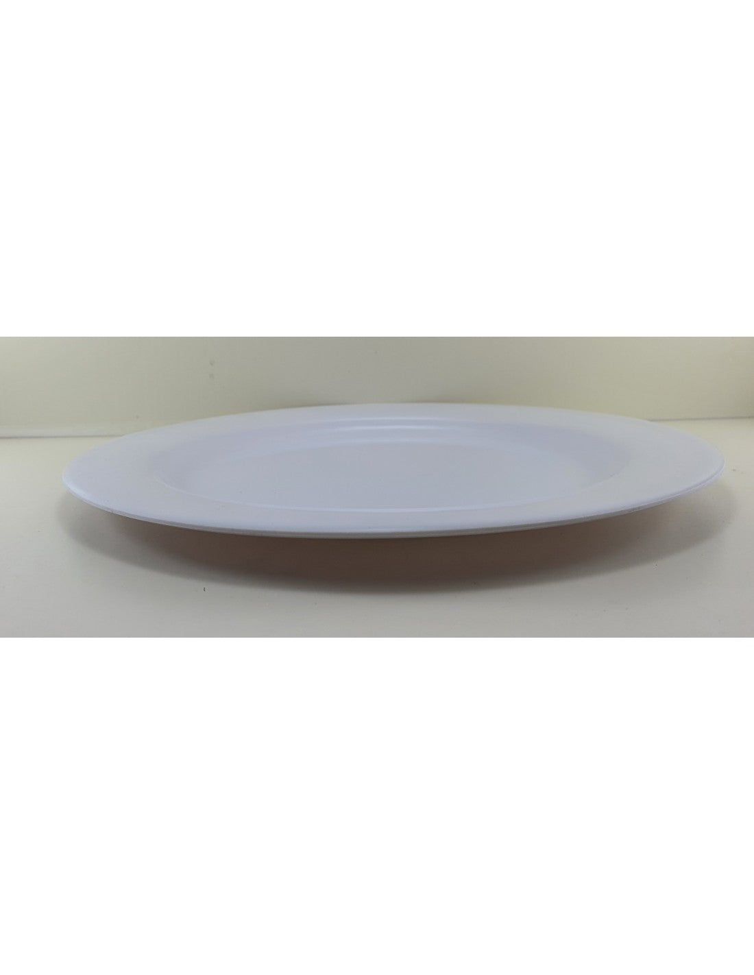 Plato Melamina Playo De 25 Cm