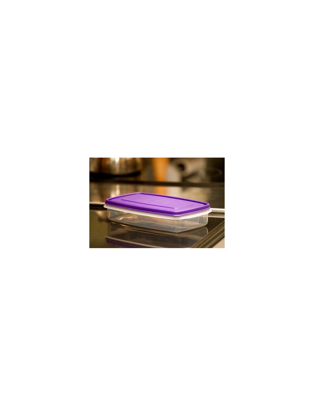 Contenedor Rectangular De 4,9 Lts.