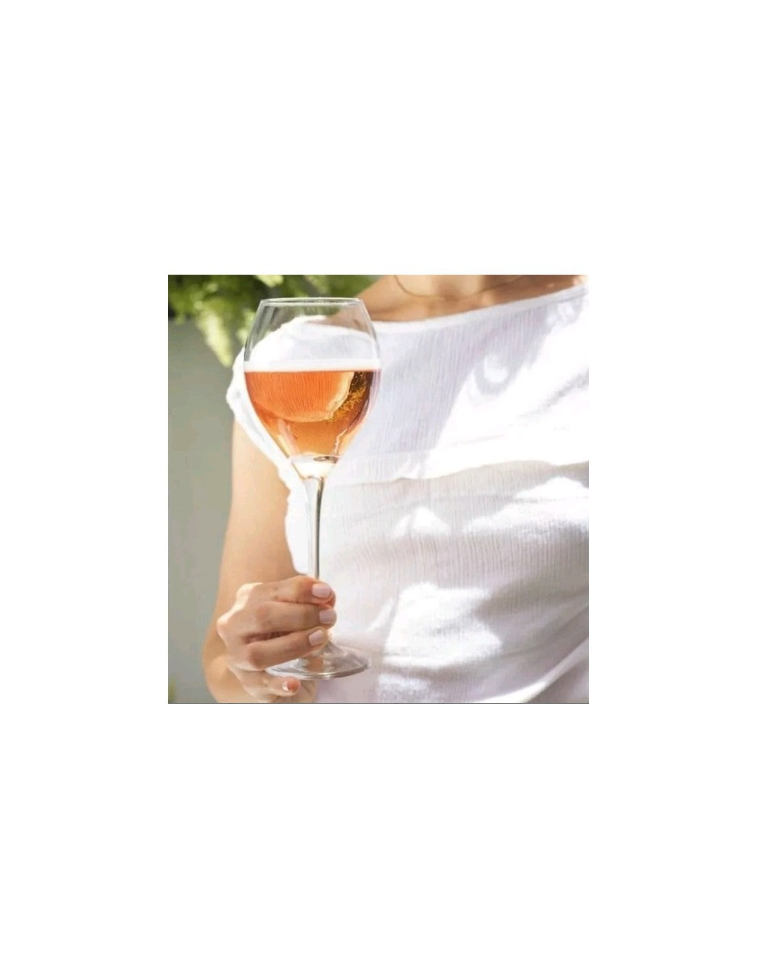 Copa Prestige Champagne De 350 Ml